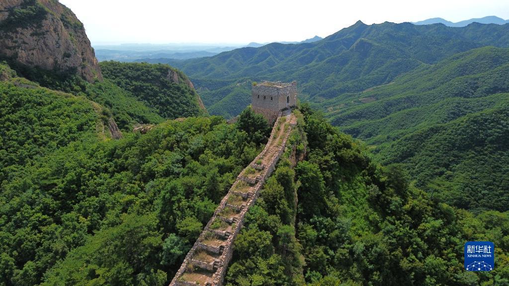 捕鱼黄金鲨
